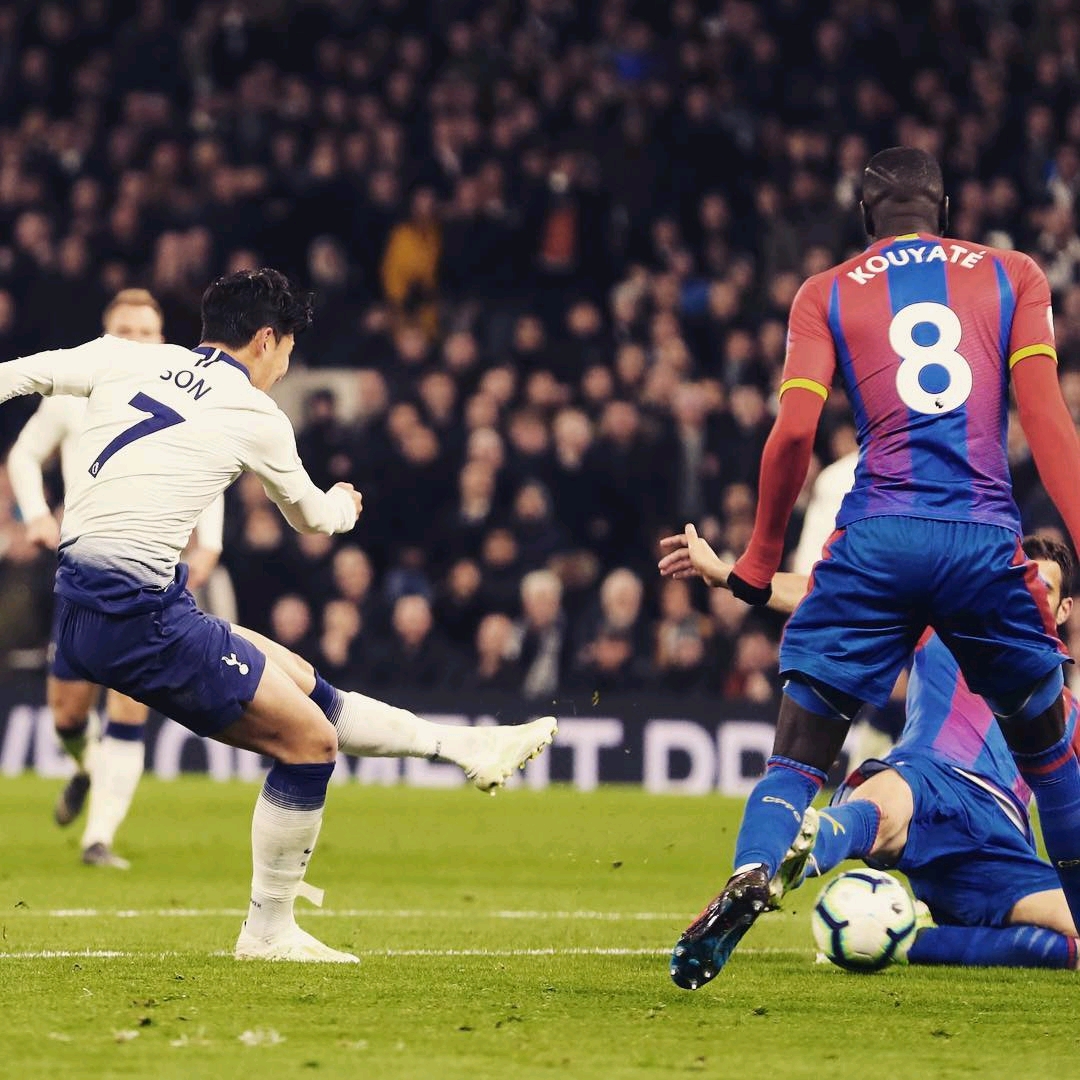 成功的季前 成功的季前